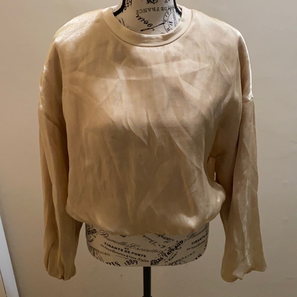 Zara shimmer long sleeve top